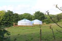 Family Yurt
