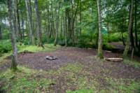 Woodland Tent Pitch 8 (3.5m x 3.5m)