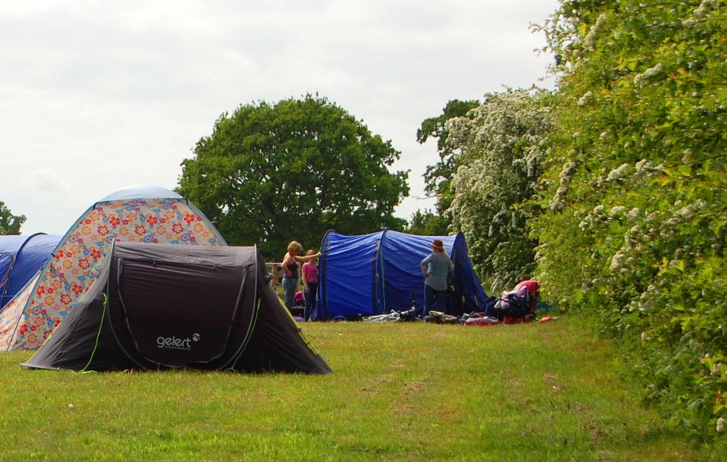 Campsites in Wroxham & Hoveton holidays at Cool Camping