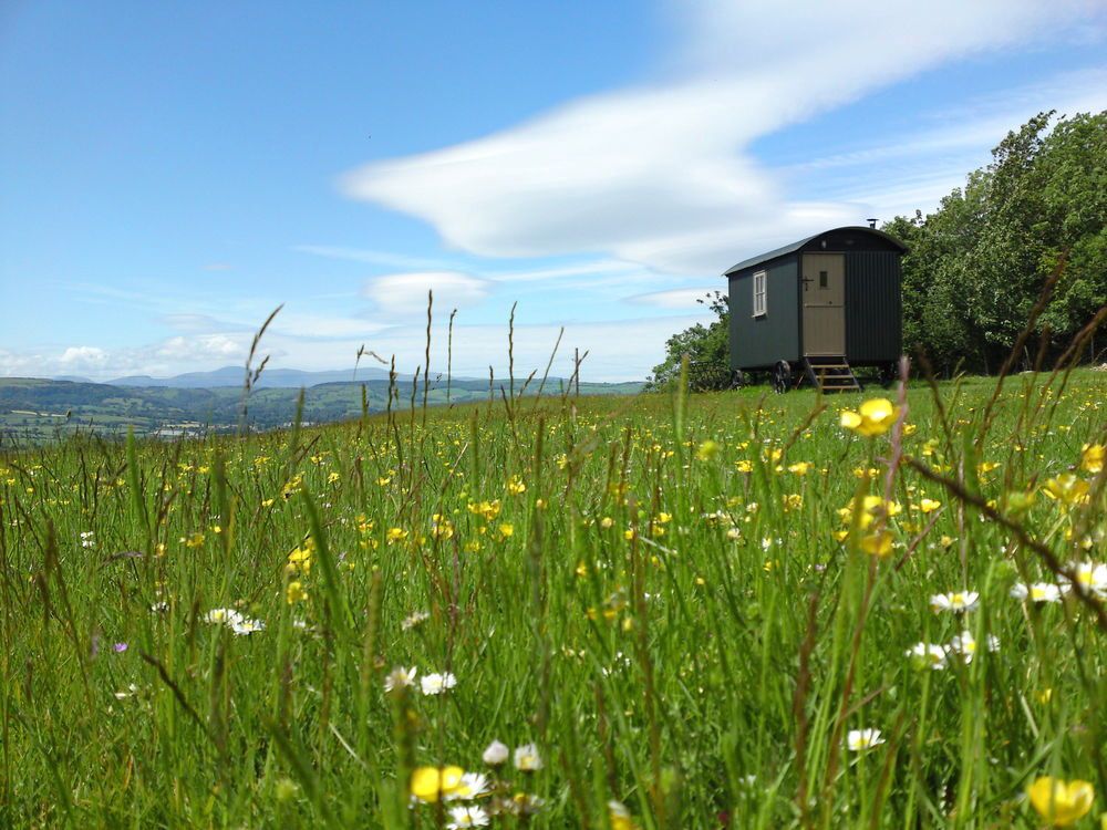 Campsites in North Wales – North Wales best camping sites – Cool Camping