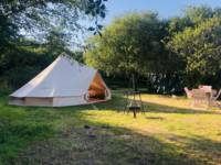 Bell tent tucked away in rural Cornwall