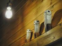 Owls Hollow