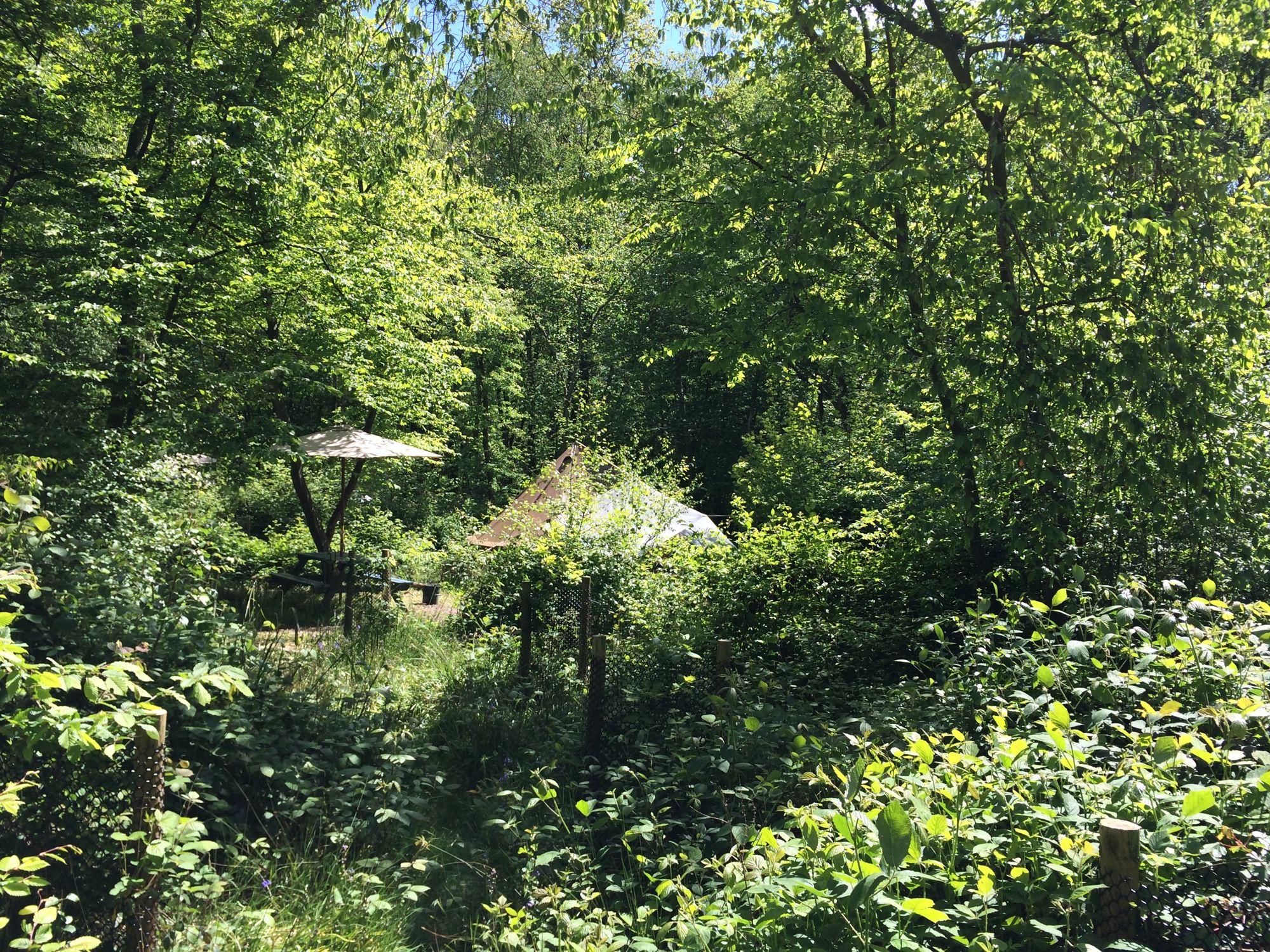 Haywards Heath Camping | Campsites near Haywards Heath