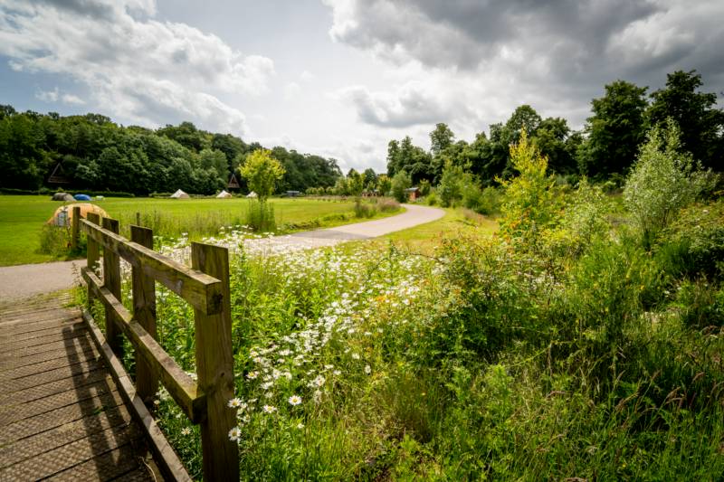 Upper Meadow TENT pitch (vehicle free field)