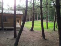 Wyldwood Lodge