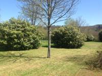 Deluxe Grass Pitch with electricity