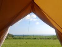Dandelion Bell Tent