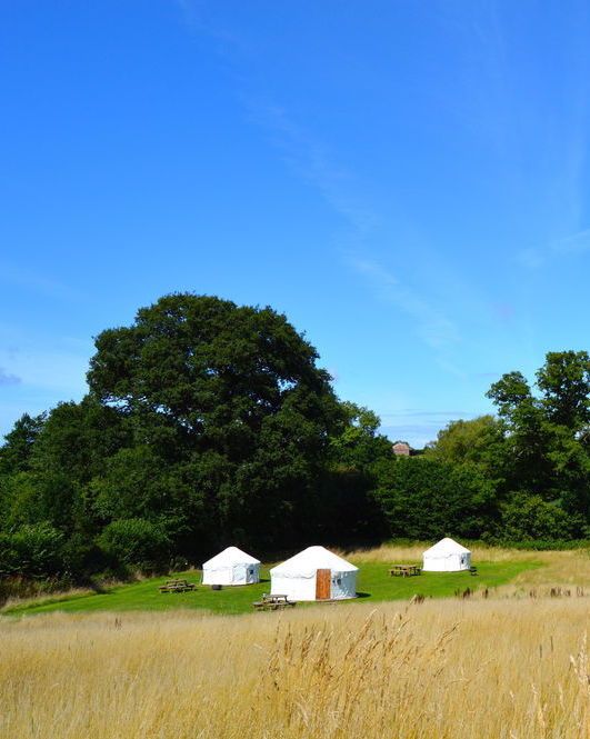 Glamping sites in Somerset