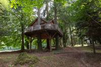 "Panda" Family Tree House