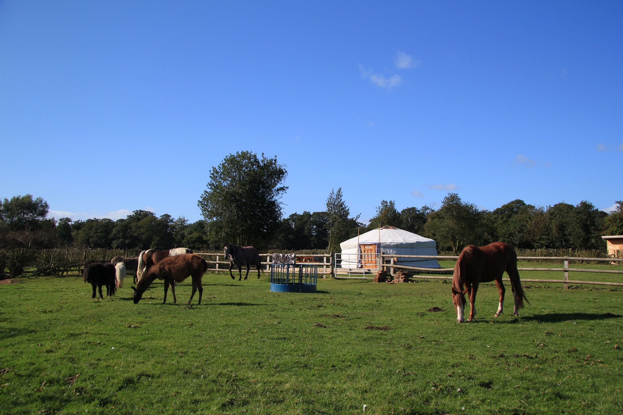 Campsites in Staffordshire – Top-rated campsites in Staffordshire | Cool Camping