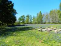 Woodland Meadow Pitch