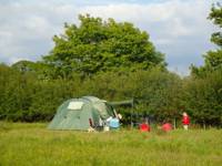 Grass Pitch
