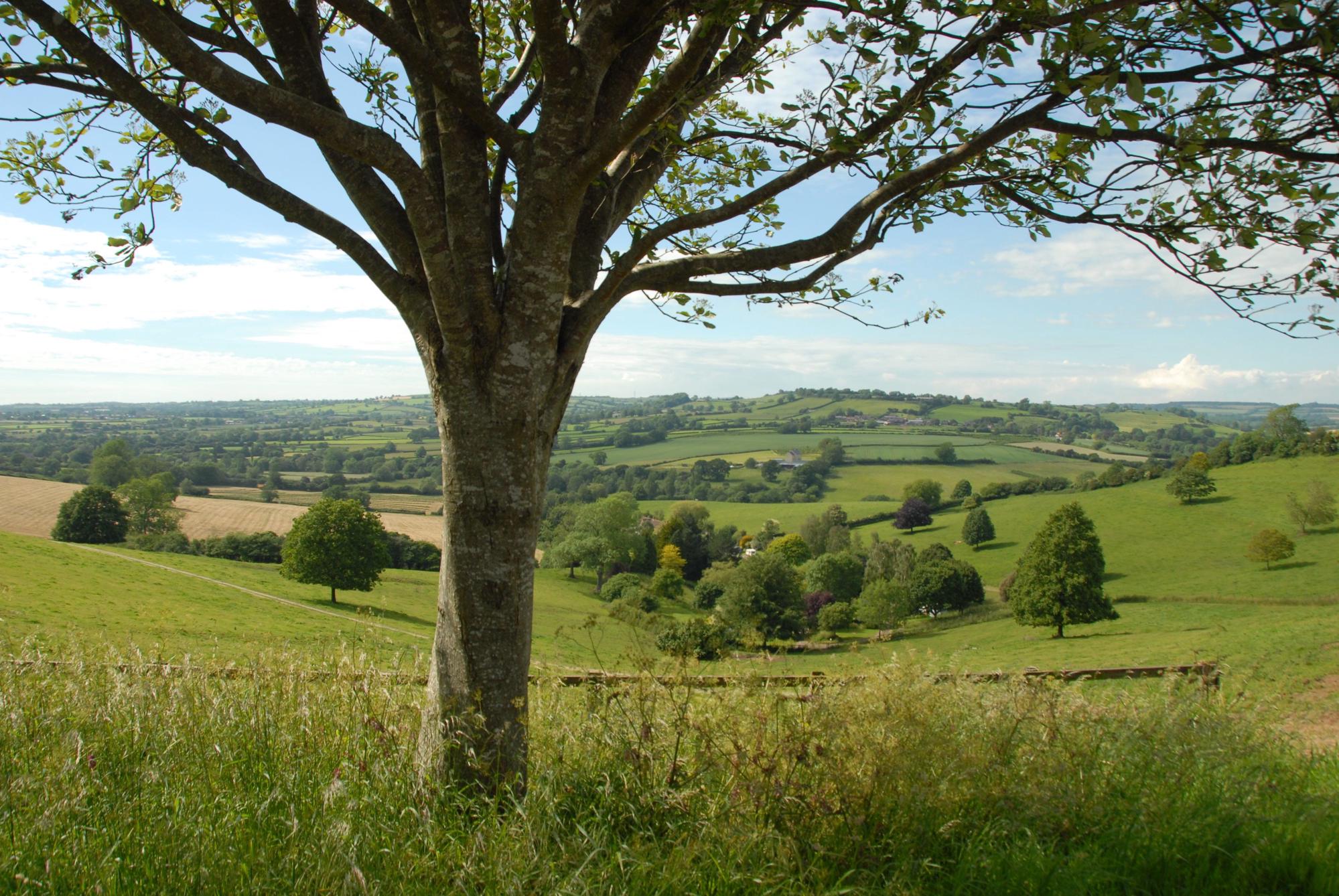 Frome Camping | Best campsites in Frome, Somerset