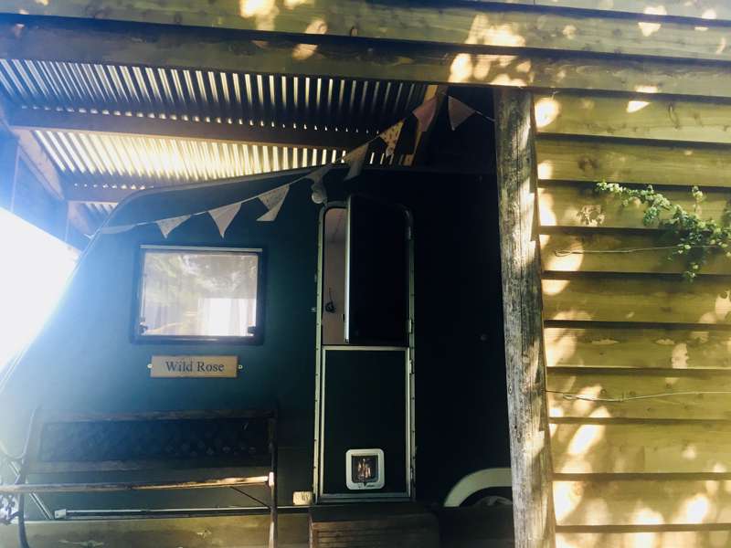 Wild Rose Vintage Caravan
