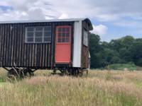 Burning Desire Cabin Wagon