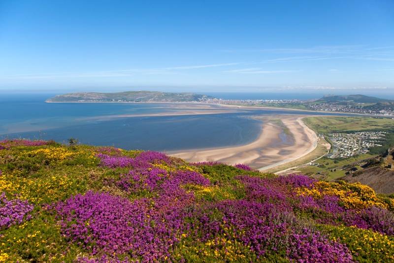 Hotels, Cottages, B&Bs & Glamping in South Wales