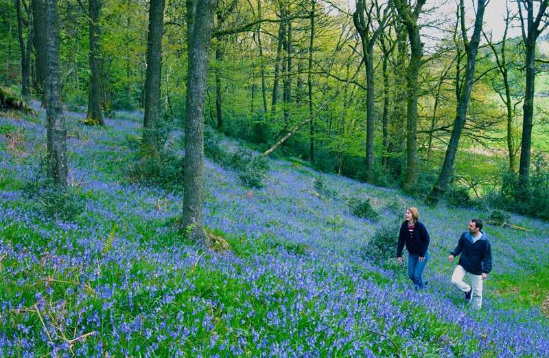 The Best Easter Walks in Britain