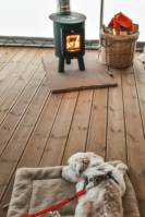 1 - Barn Owl Pioneer Camp