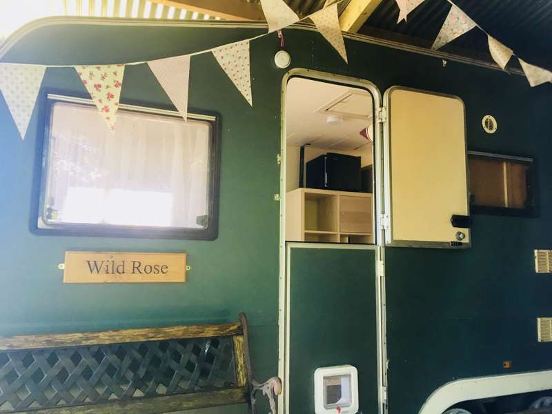 Wild Rose Vintage Caravan