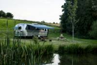 Pond View