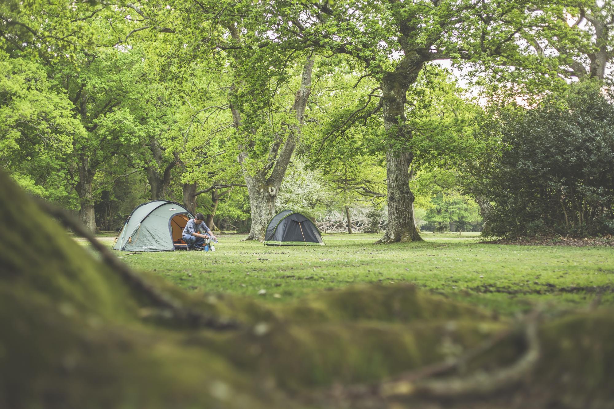 Brockenhurst Camping | Campsites in Brockenhurst, New Forest