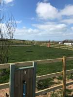 Fully Serviced Pitch, Paddock 1