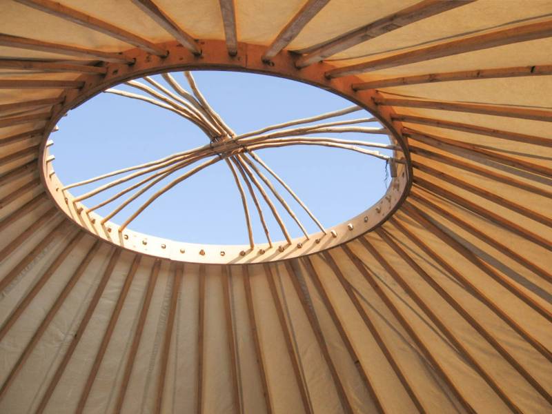 Ragwort Yurt