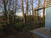 The Beech Hut