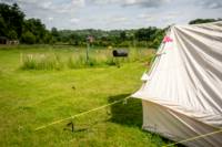 Bell Tent 1 SPINDLE field pitched with porch