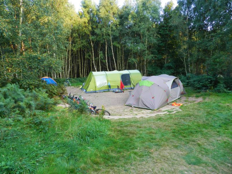 Double Forest Tent Pitch