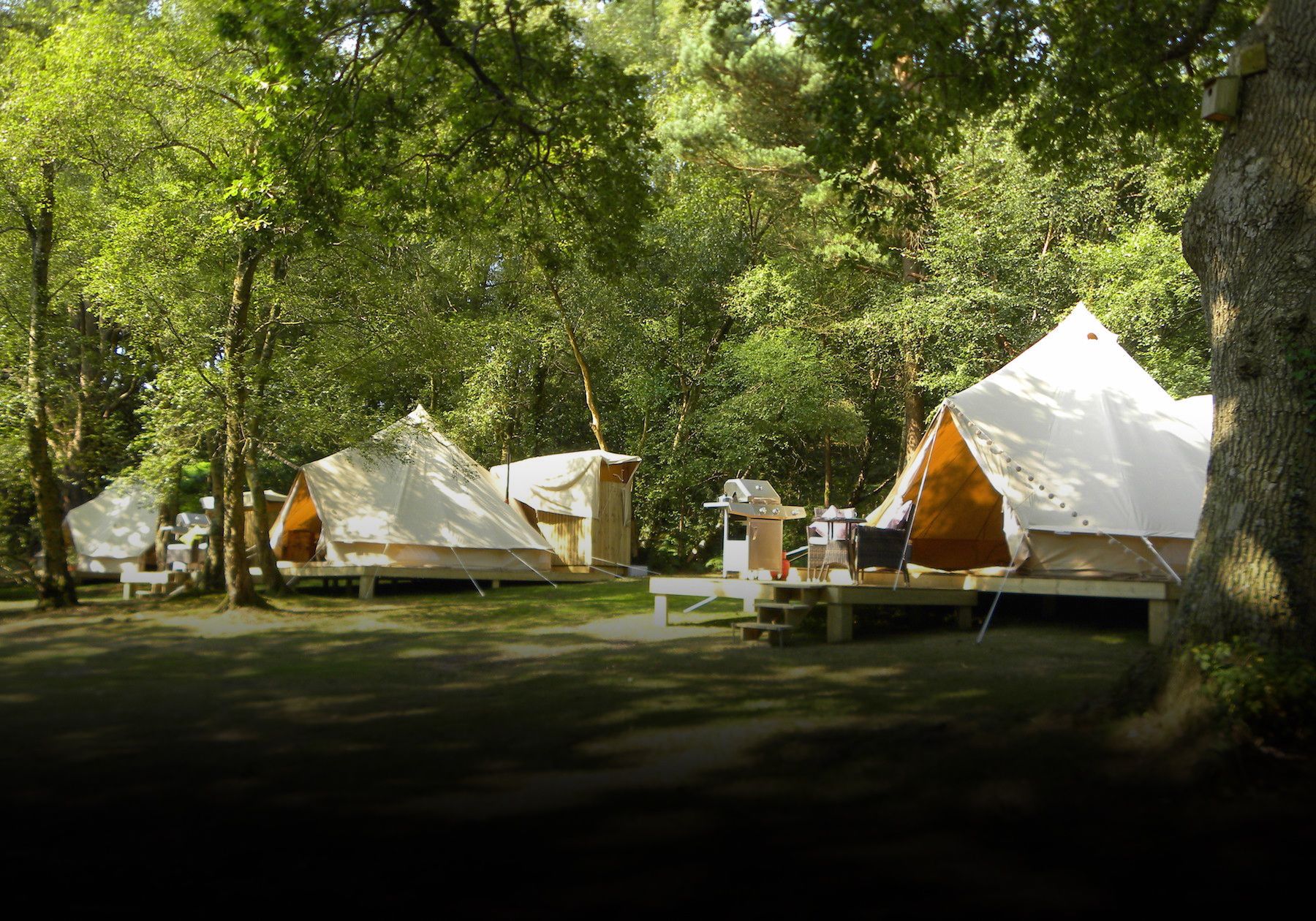 Glampotel Campsites