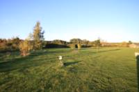 Grass electric pitch C1