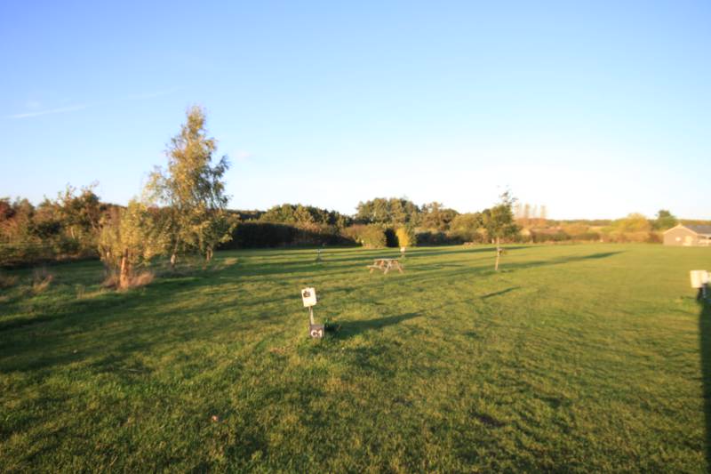 Grass electric pitch C1