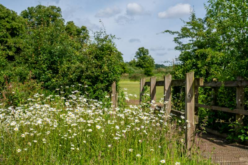 Bell Tent 1 SPINDLE field pitched with porch