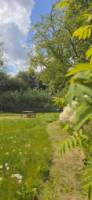 Coppice Pitch 23