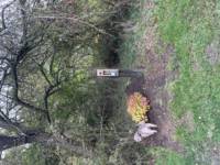 Grass Pitch with Electric Hook Up Point