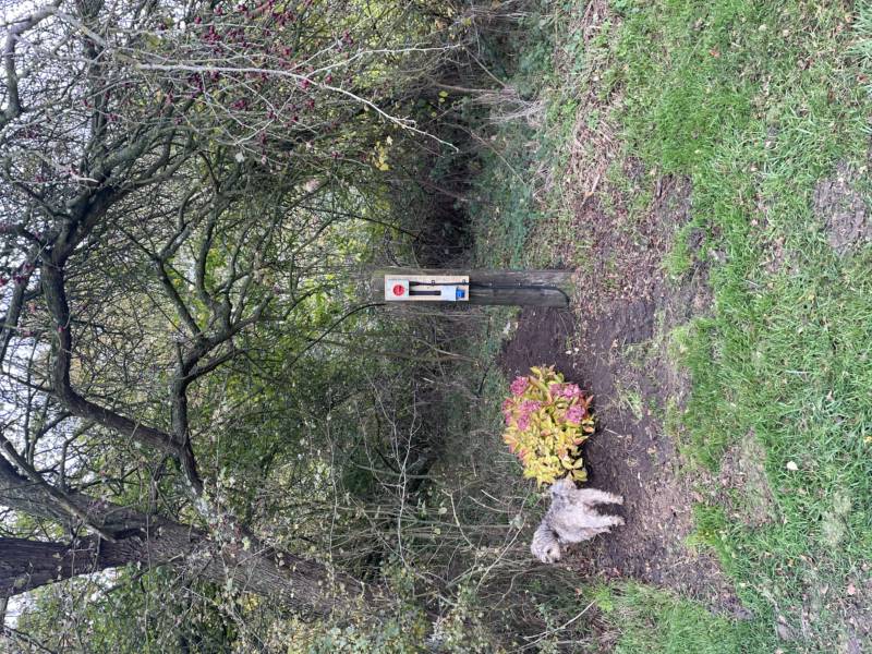 Grass Pitch with Electric Hook Up Point