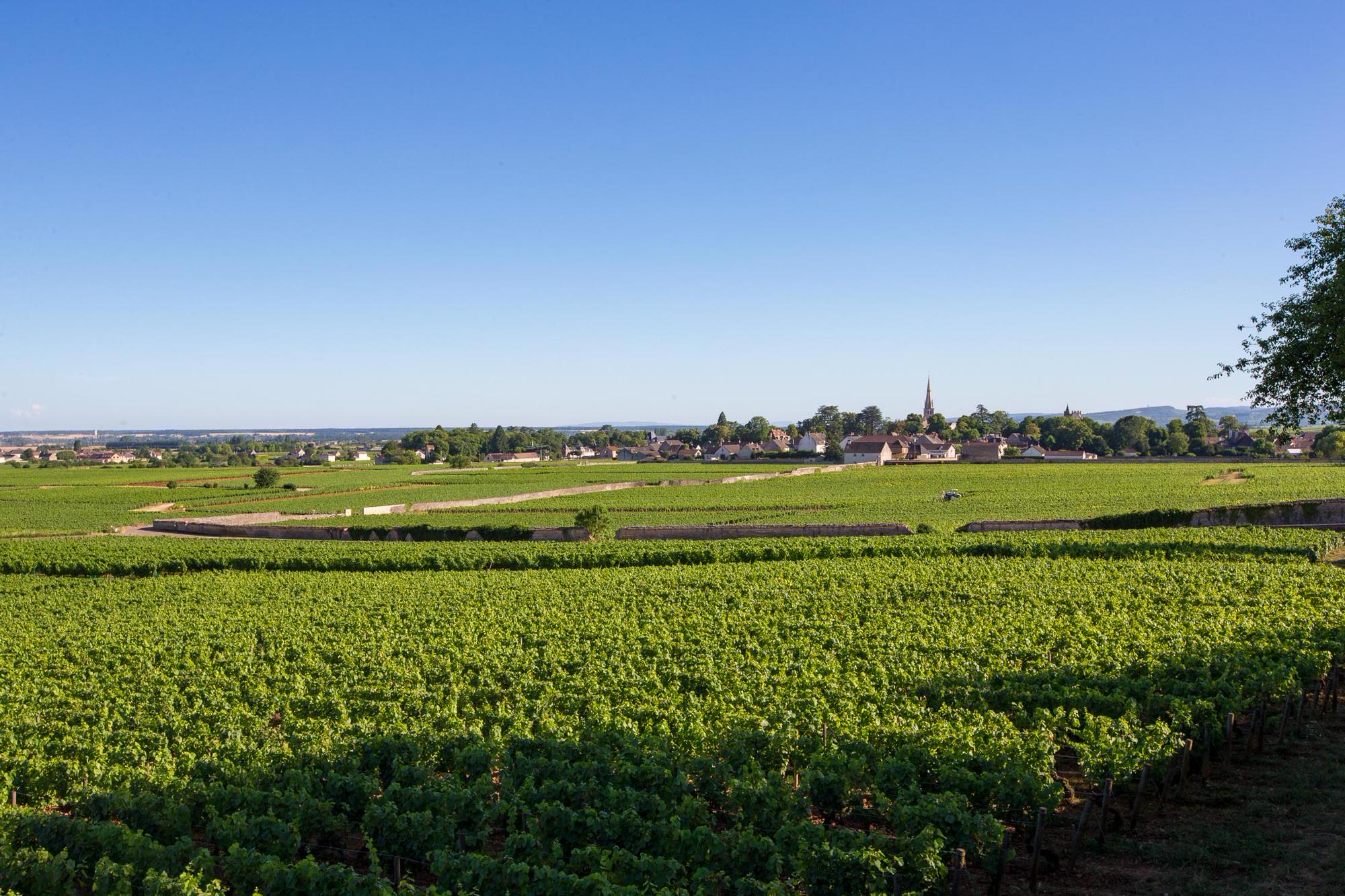 Campsites in Burgundy, France | Best Burgundy Camping Sites