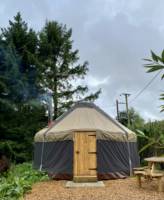 Ragwort Yurt