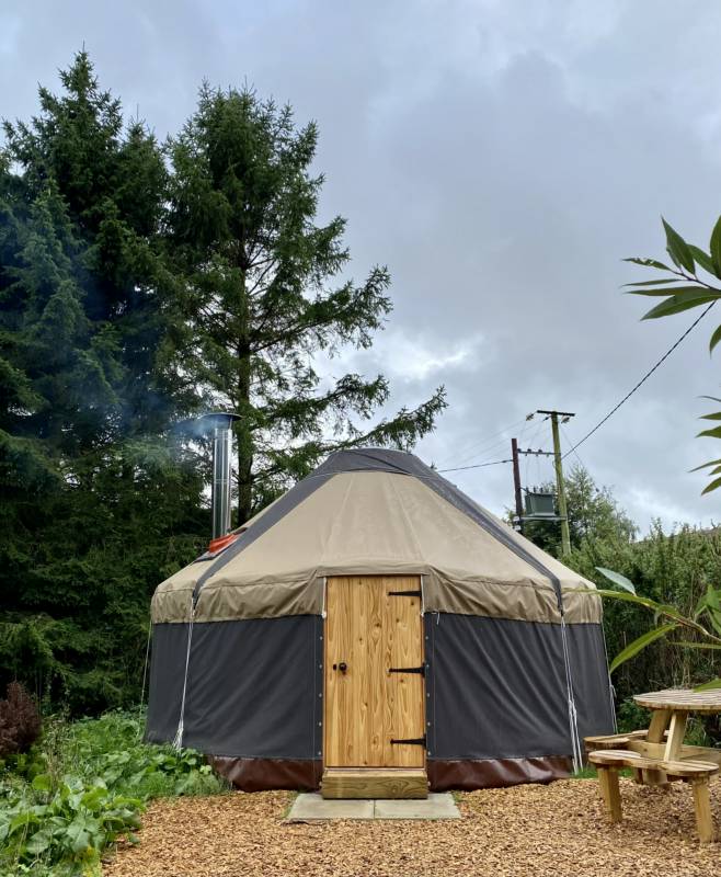 Ragwort Yurt