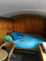 Willow Hut