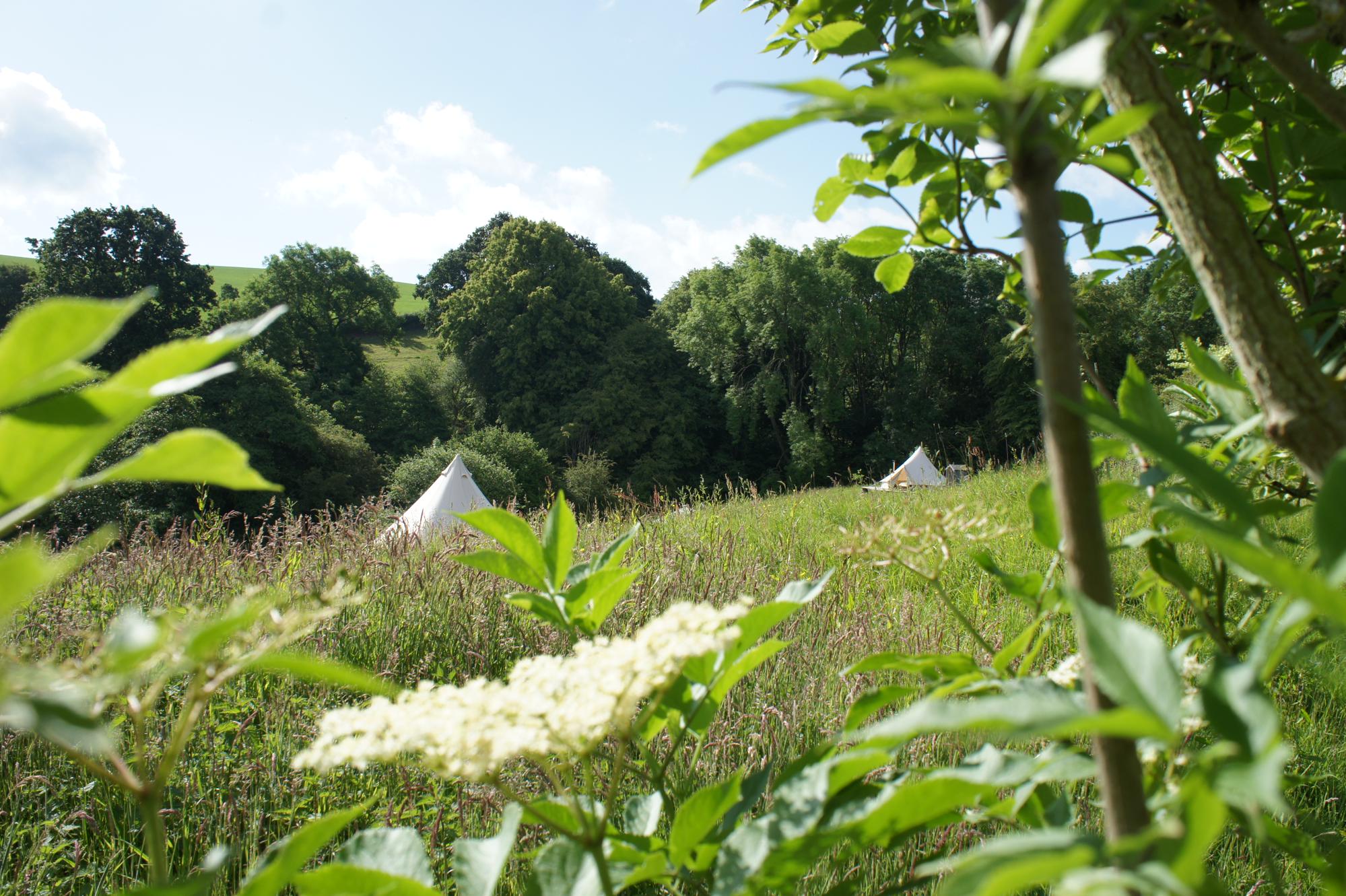 Campsites in Tenbury Wells – Glampingly