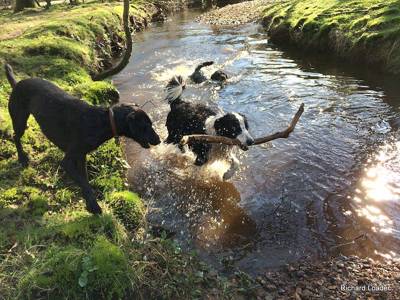 Grass Pitch - Motorhomes only
