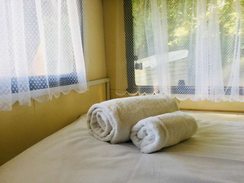 Wild Rose Vintage Caravan