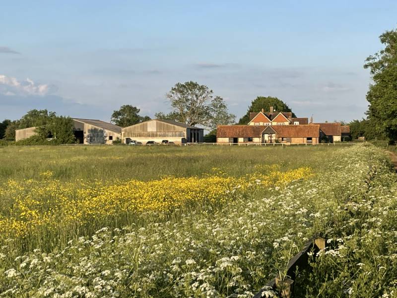 The Farmhouse