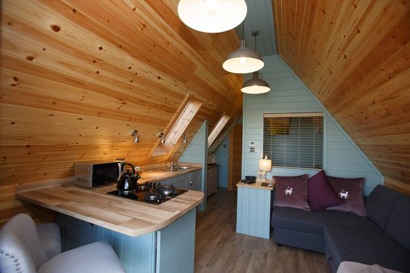 Woodpecker (dog friendly)