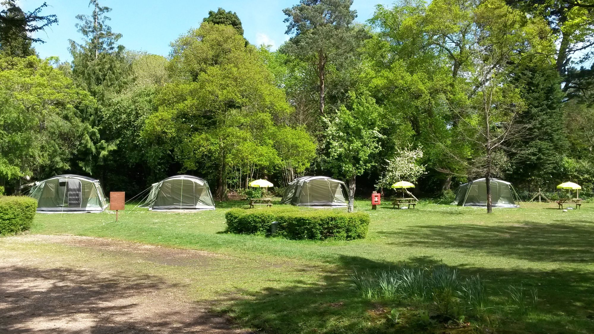 Yha New Forest Cott Lane Burley Ringwood Hampshire Bh24 4bb Yha New Forest Cott Lane Burley Ringwood Hampshire Bh24 4bb