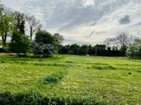 Grass Pitch 5
