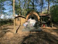 bluebelle cottage