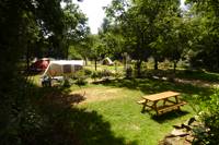 Grass Pitch